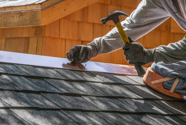 Best Roof Coating and Sealing  in Durand, MI